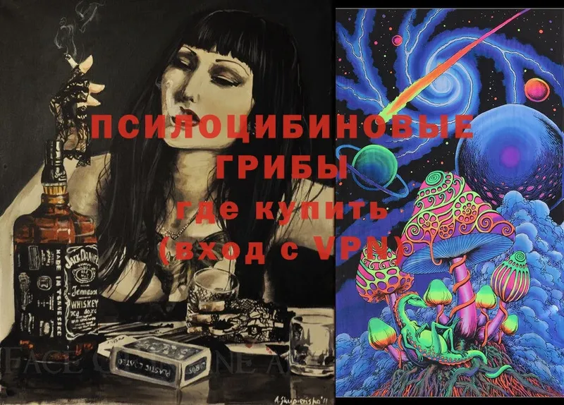 Галлюциногенные грибы Magic Shrooms  даркнет клад  Александровск  хочу  